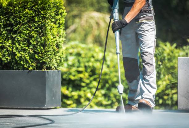 Best Animal Enclosure Cleaning  in Hutto, TX