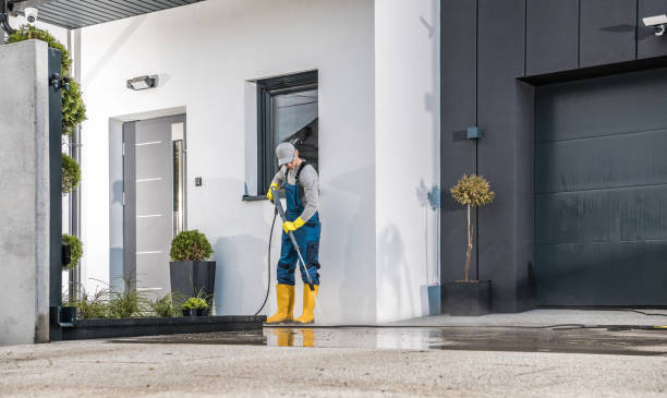 Best Animal Enclosure Cleaning  in Hutto, TX